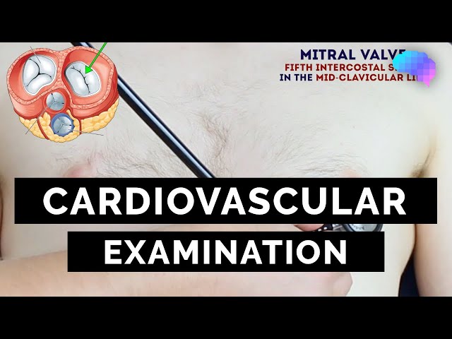 cardiovascular examination geeky medics