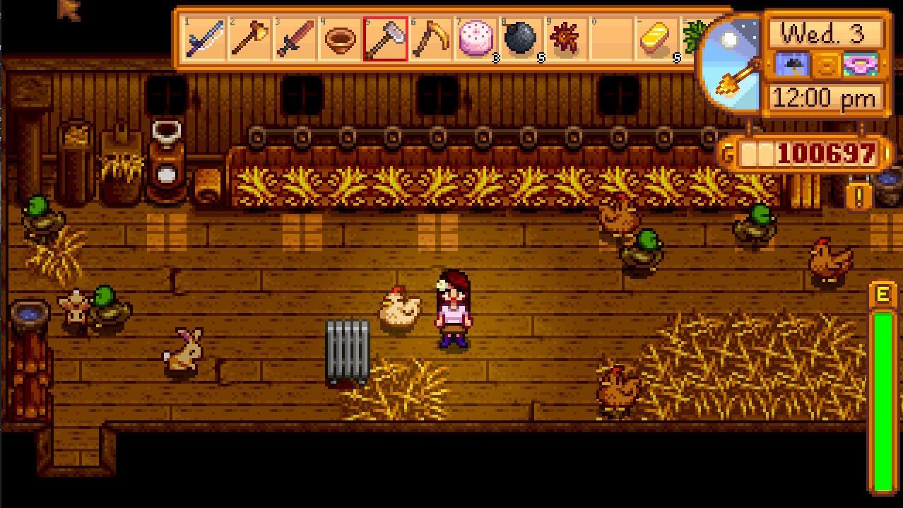 big coop stardew