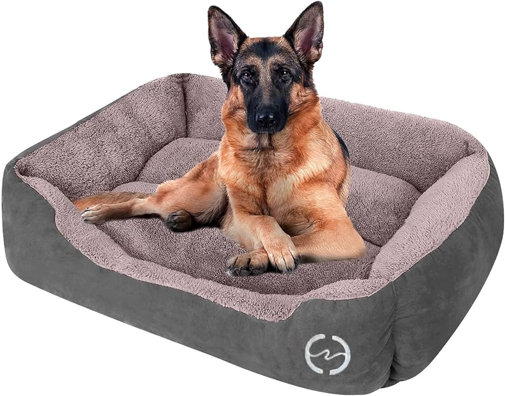 big dog beds amazon