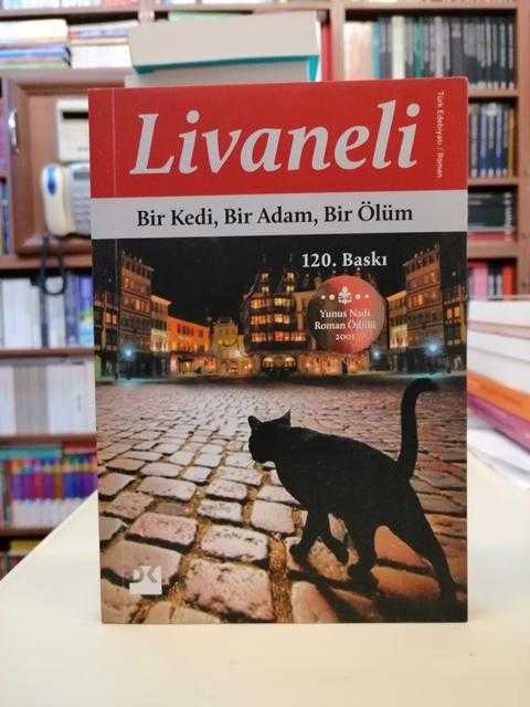 bir kedi bir adam bir ölüm konu