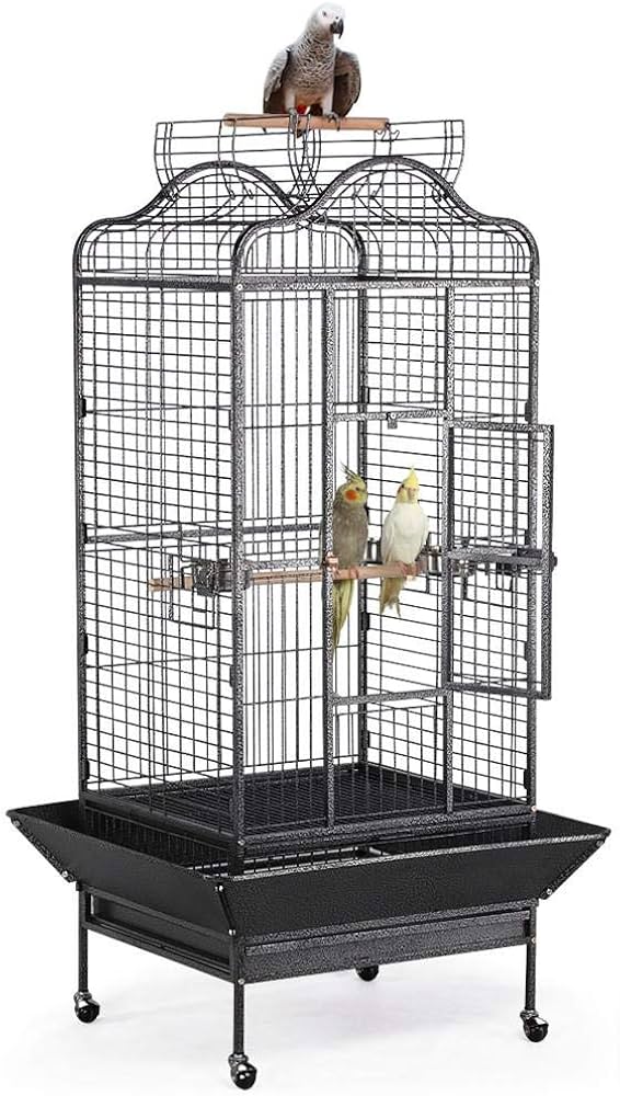 birds cages for sale