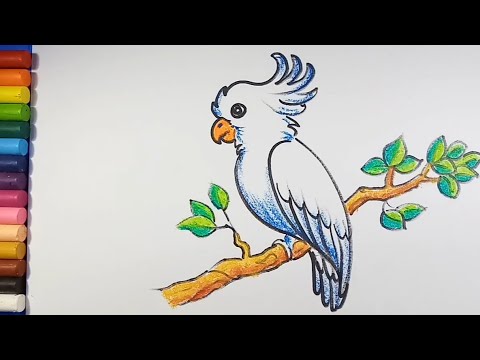 birds drawing easy