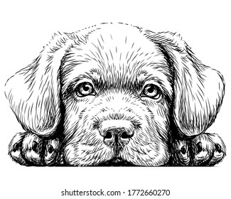 black and white dog clip art