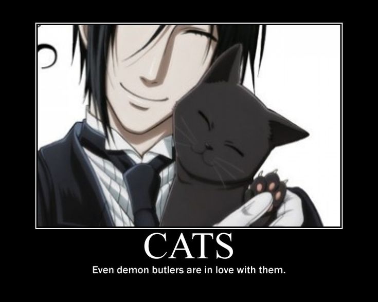 black butler sebastian funny