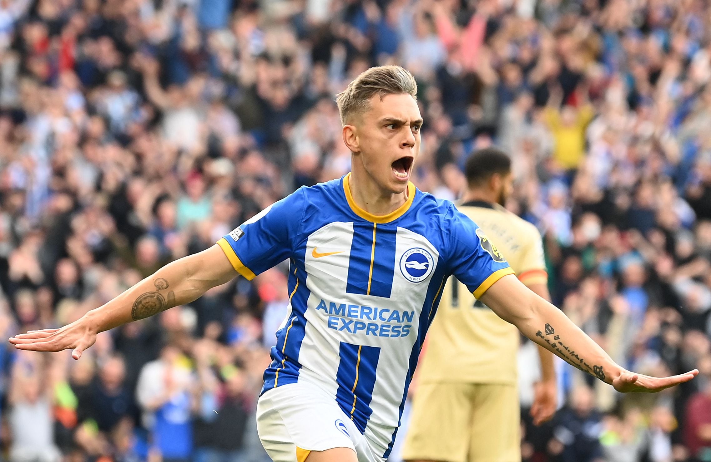 brighton & hove albion results