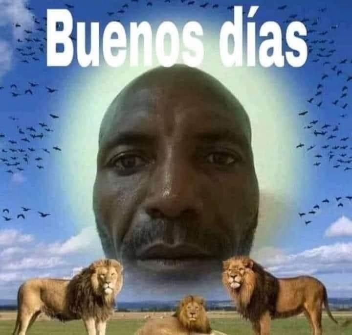 buenas dias meme