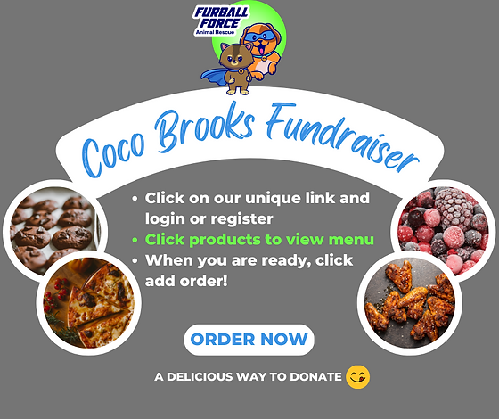 coco brooks fundraising