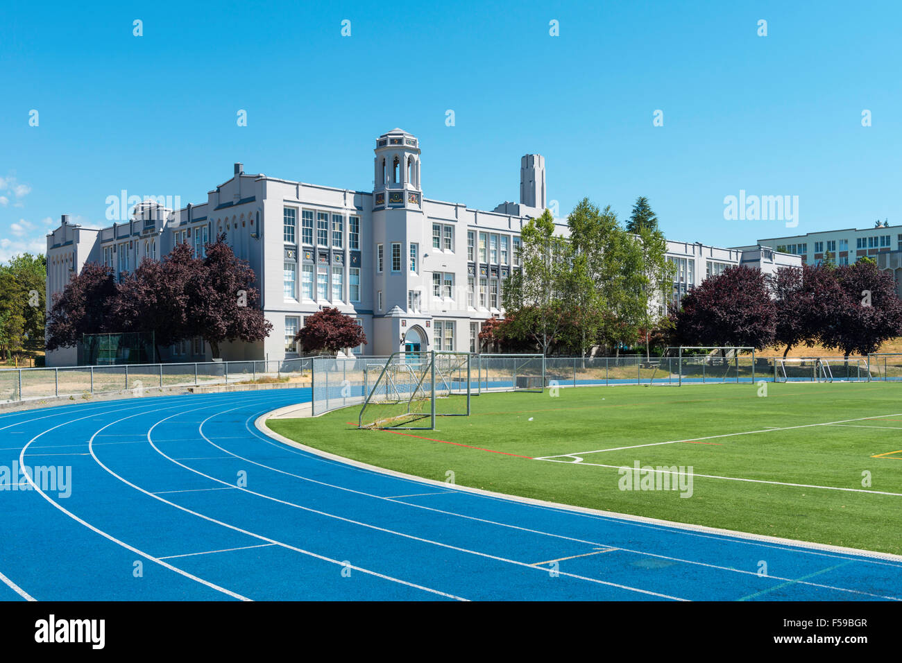 point grey turf