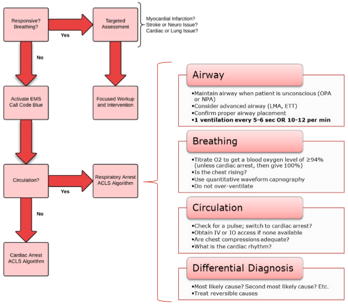 acls study guide pdf