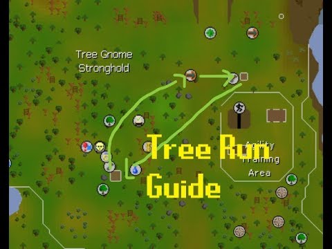 tree run osrs