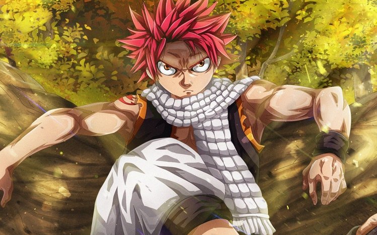 facts about natsu dragneel