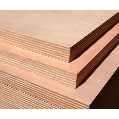 ply board 19mm price