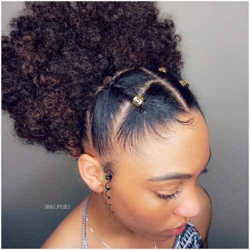 hairstyles for natural black hair