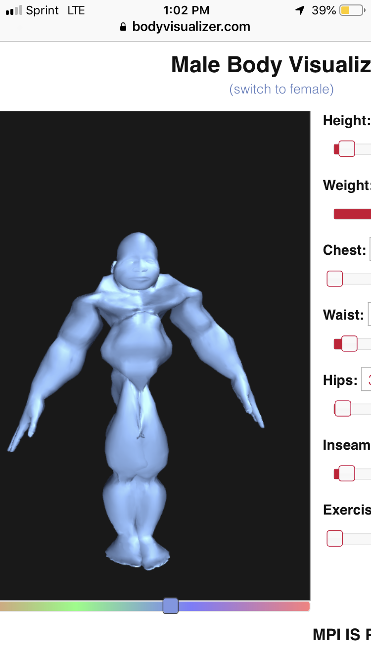 body visualizer male