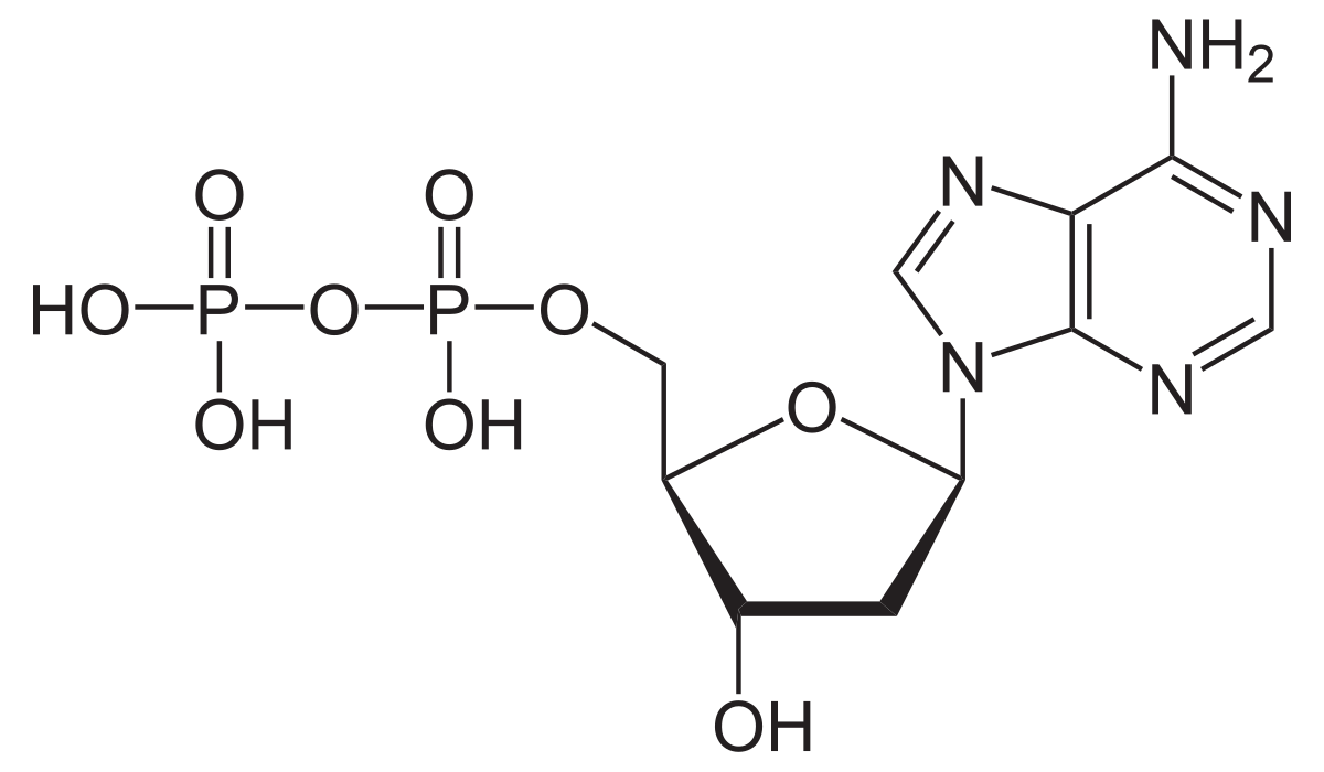 diphosphate