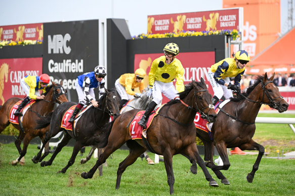 caulfield cup trifecta