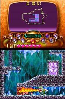 wario ds game