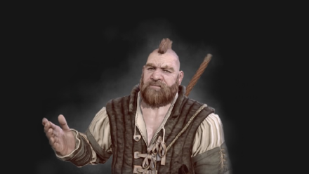 witcher 3 zoltan