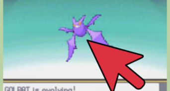 how do i evolve golbat