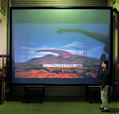 200 inch projector screen