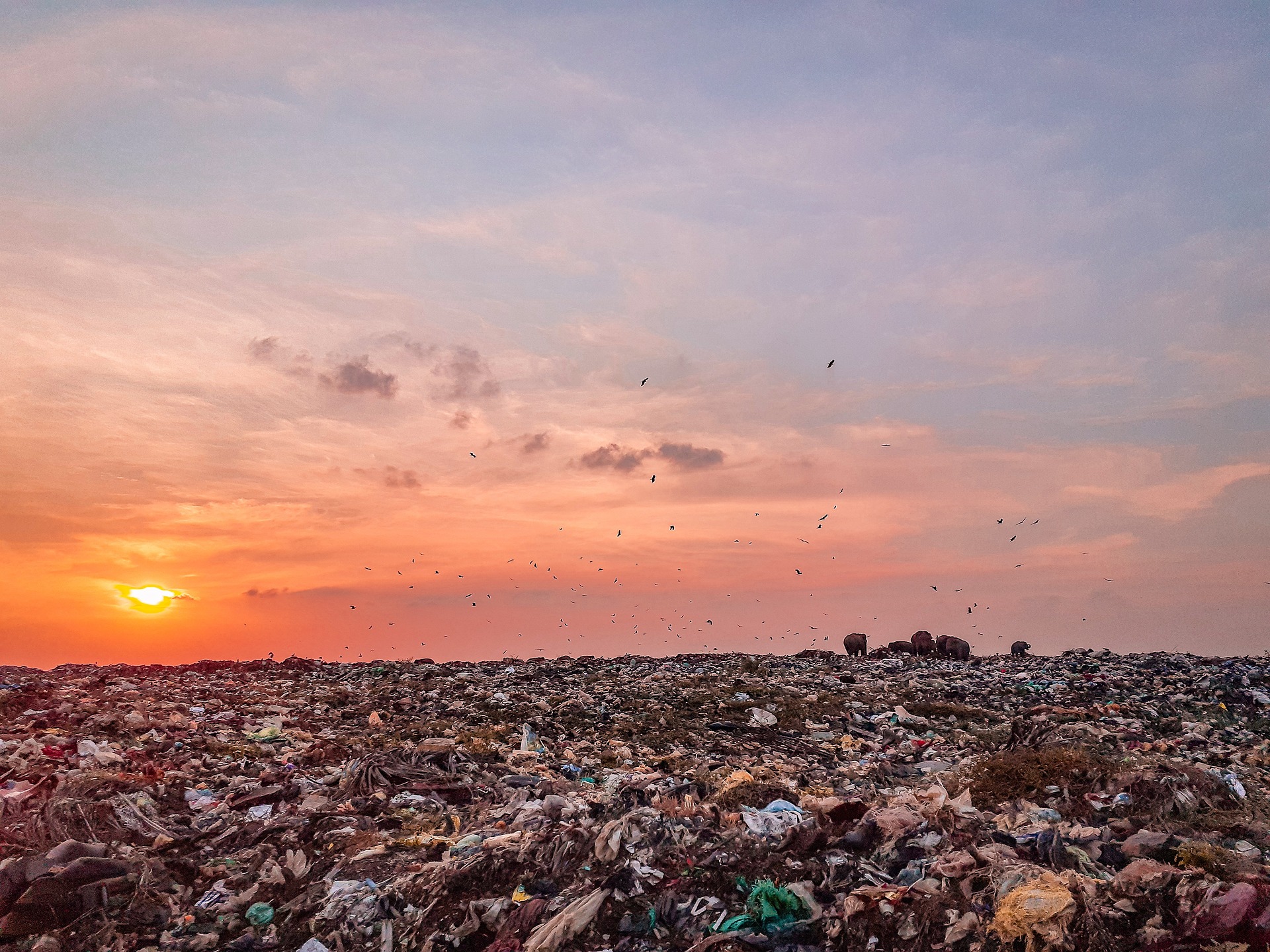 bolton garbage dump