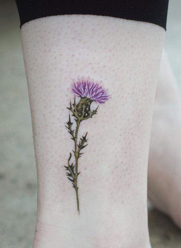 scotland thistle tattoo