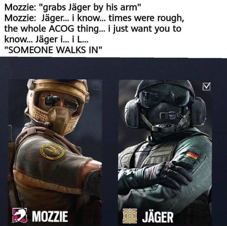 rainbow six memes