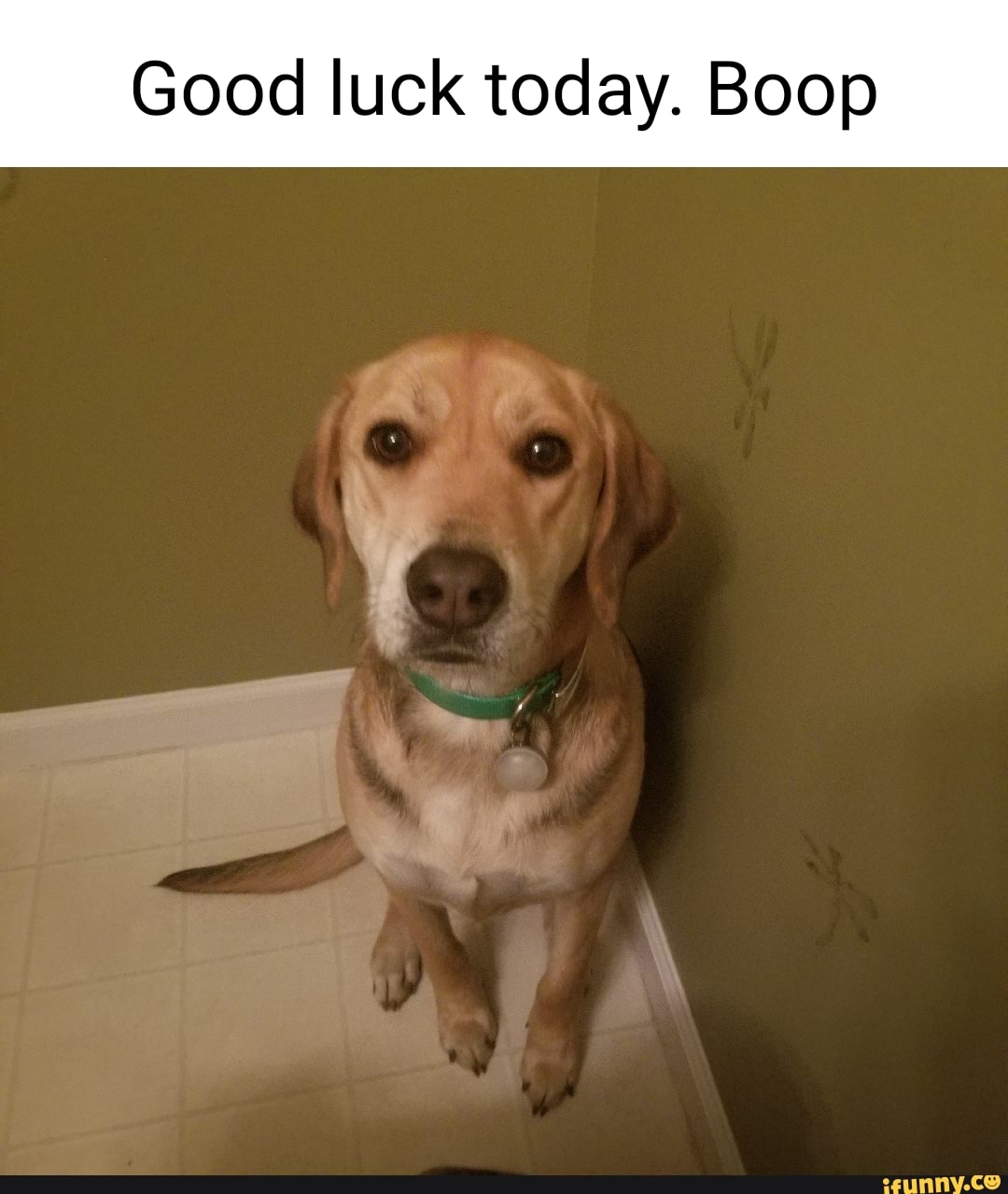 good luck today meme