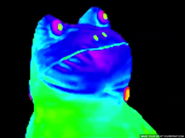 rainbow frog gif