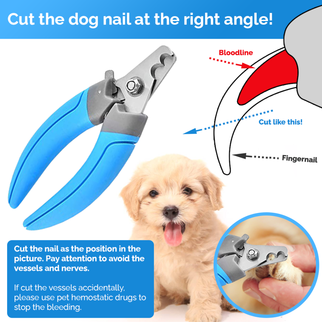 nail trimmer for dogs