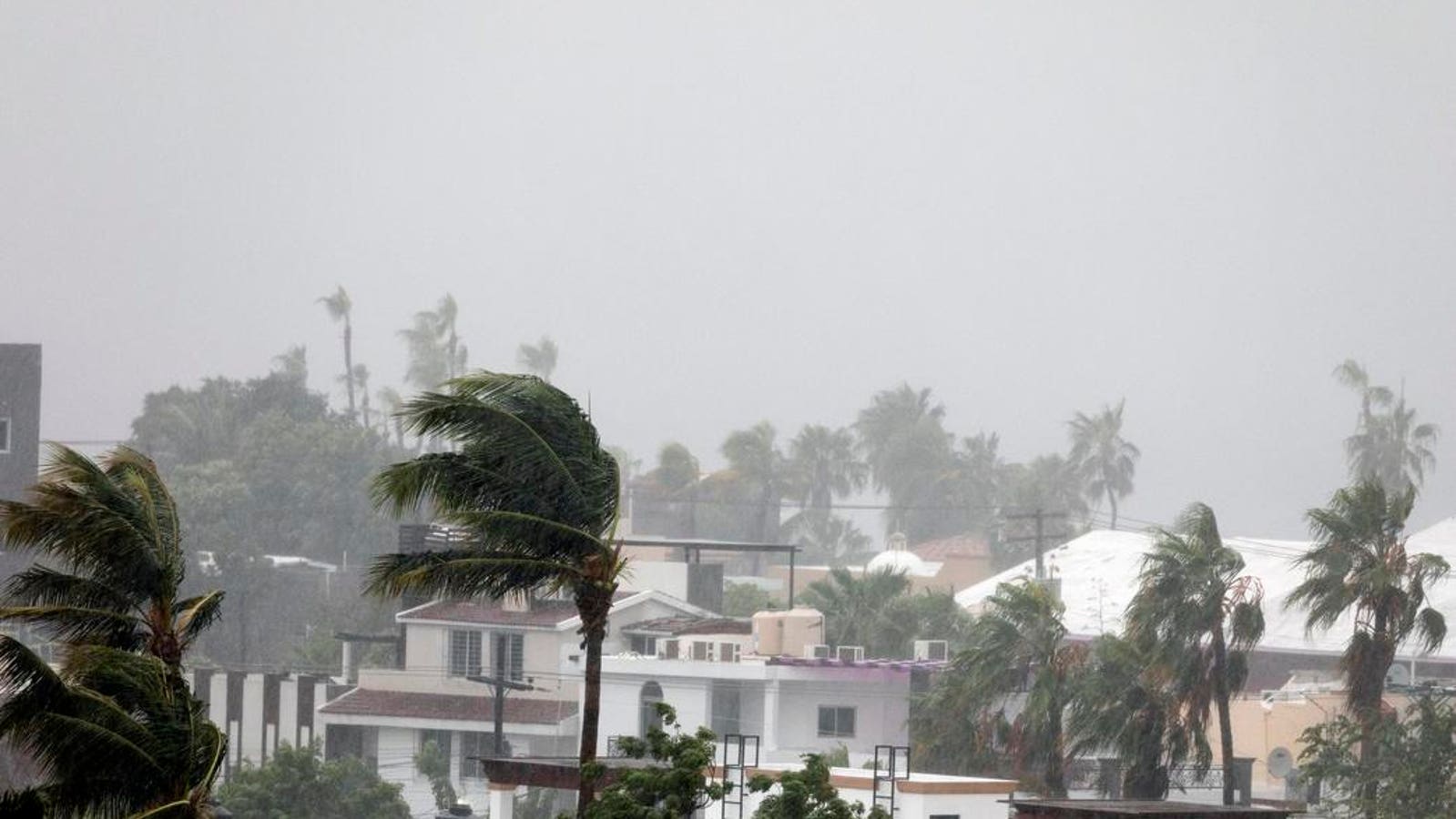 cabos san lucas hurricane