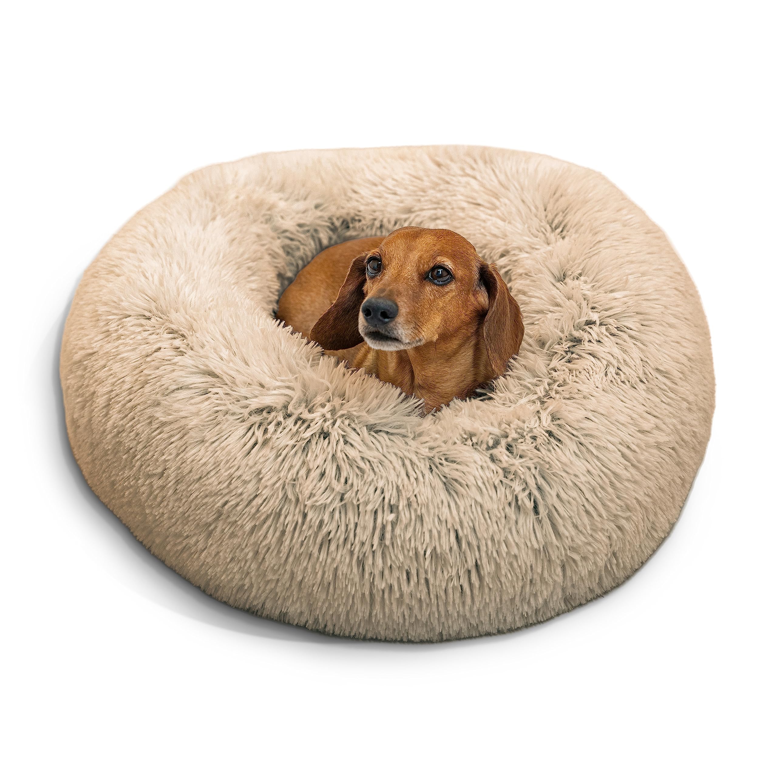 calming dog bed canada