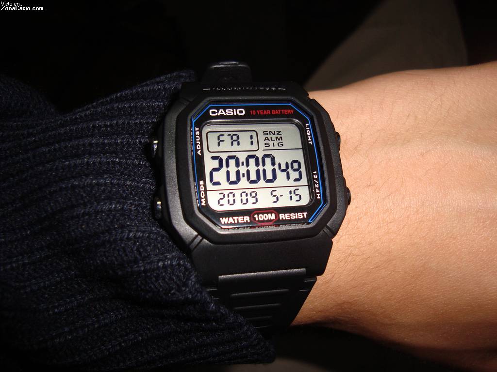 casio w800