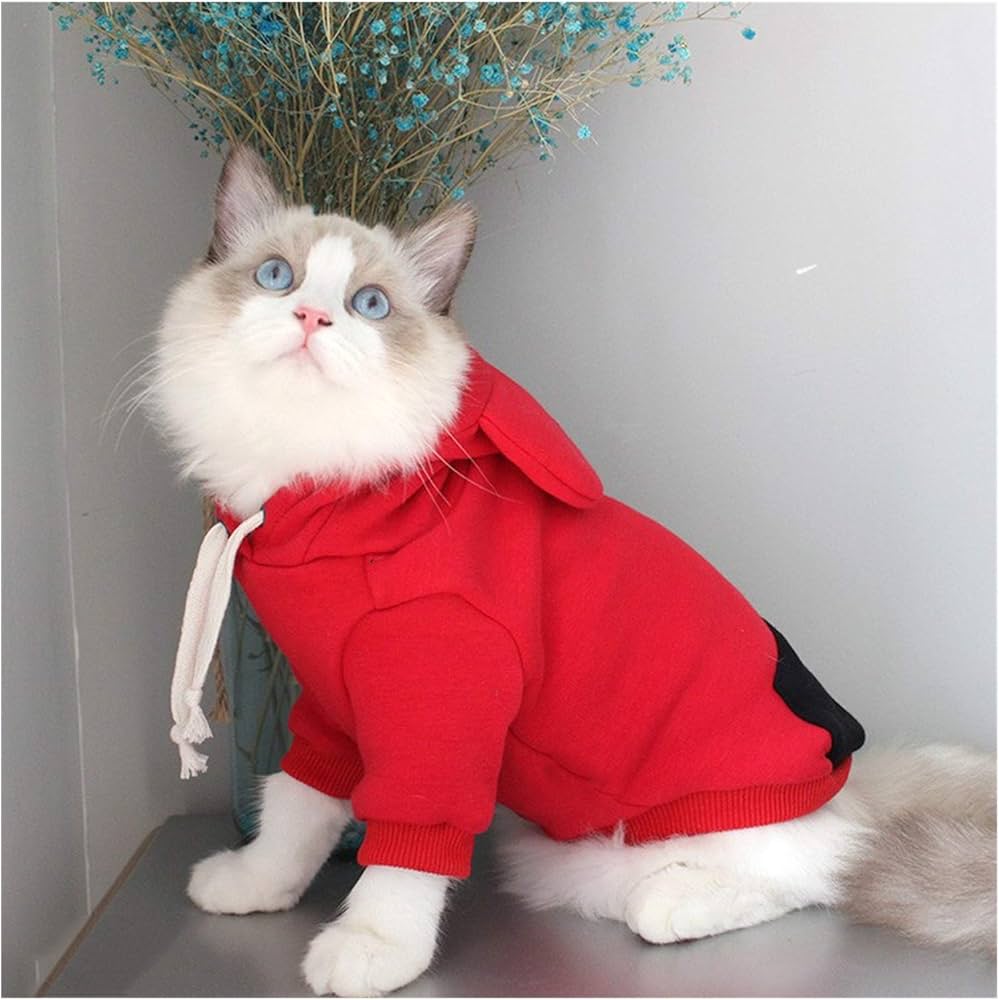 cat clothes amazon
