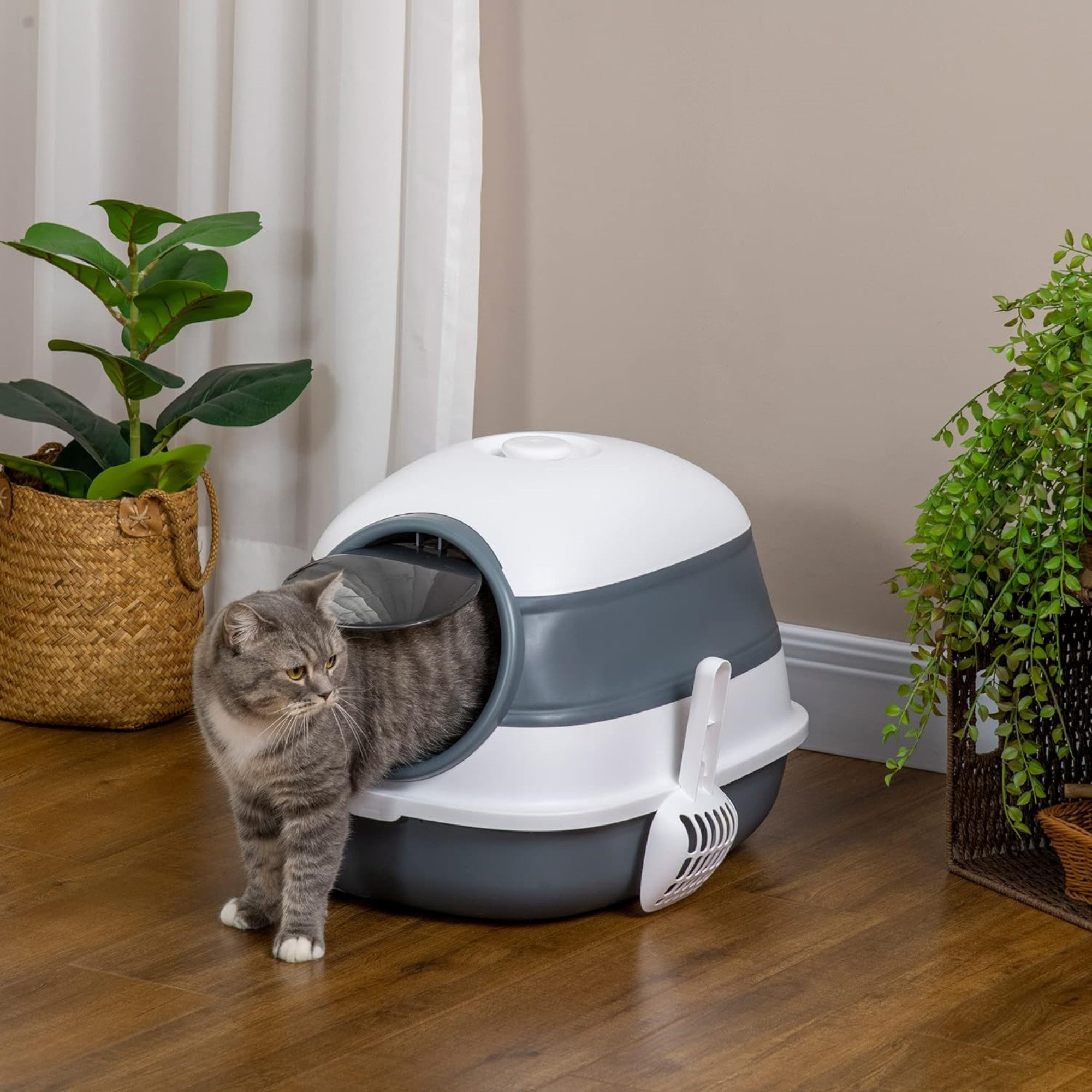 cat litter air freshener
