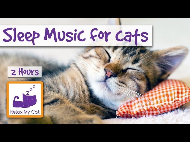 cat sleep music