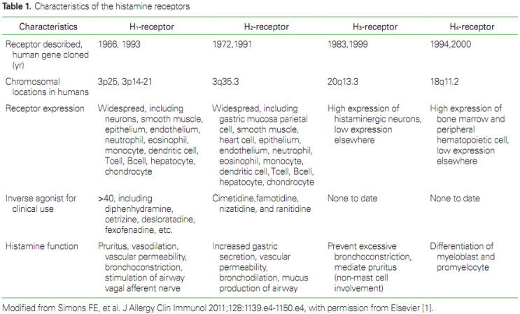 antihistamine 종류