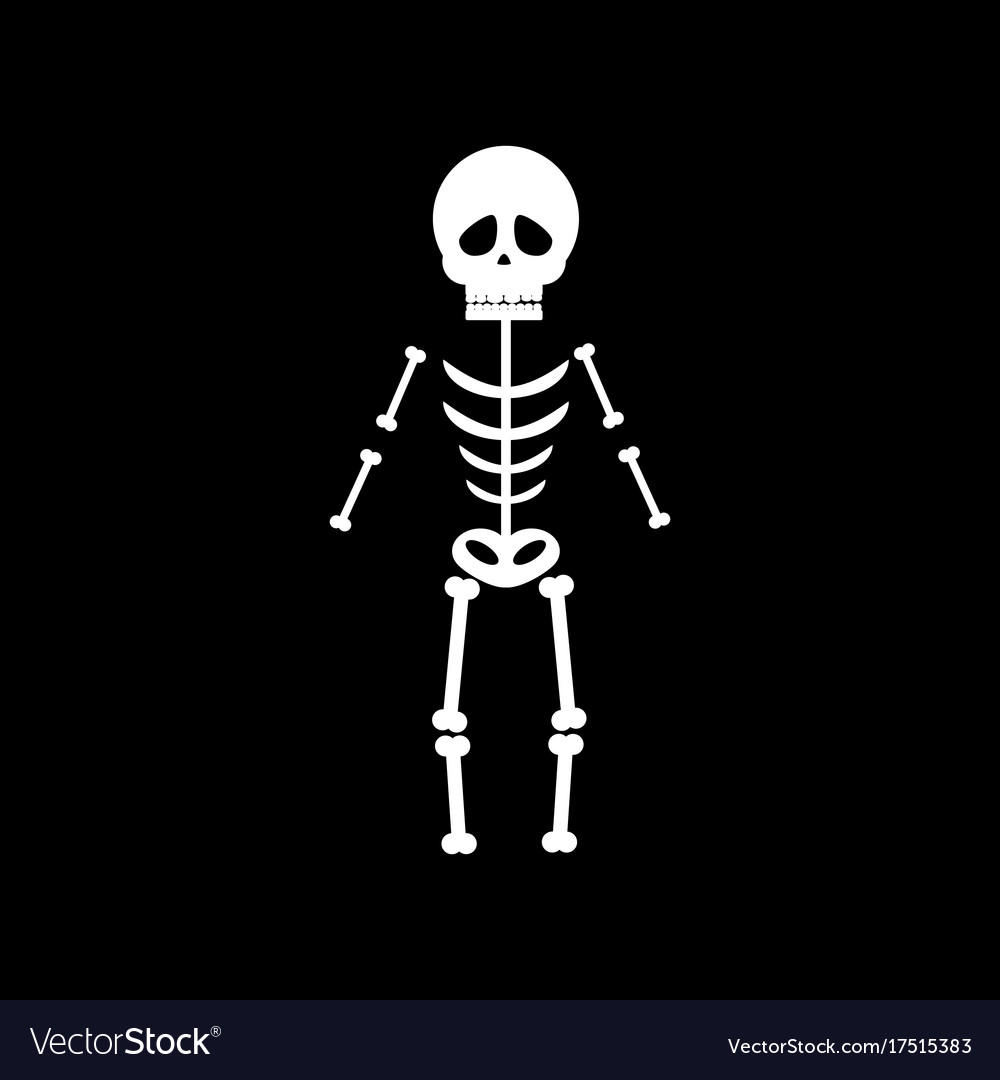 images of halloween skeletons