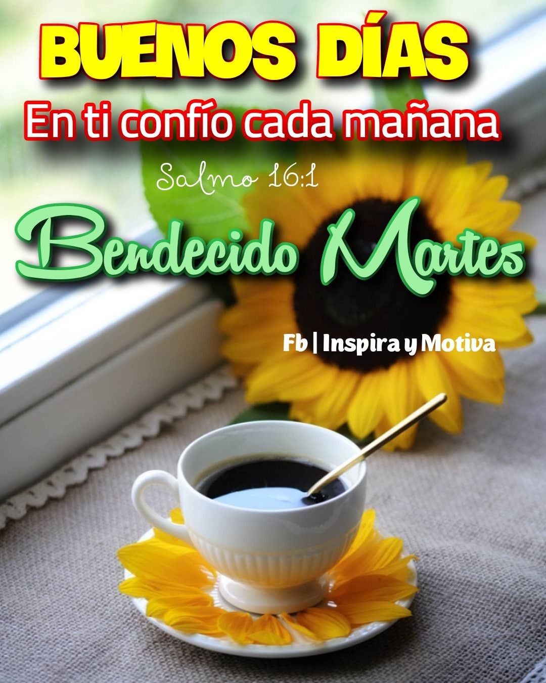 bendecido martes buenos días