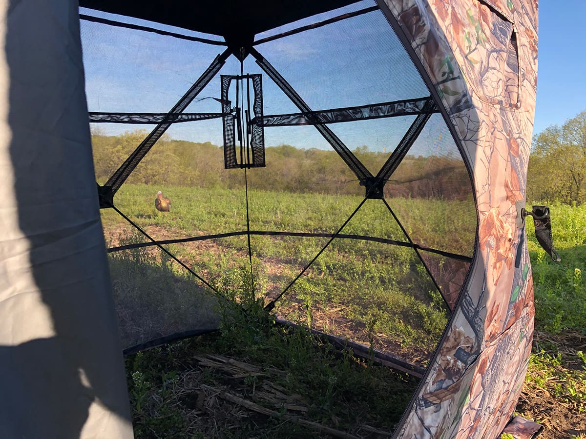 see thru ground blind