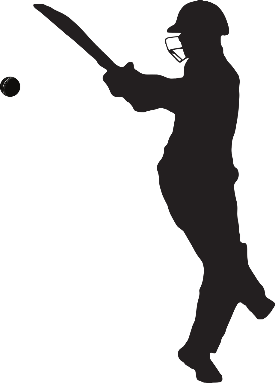 cricket silhouette