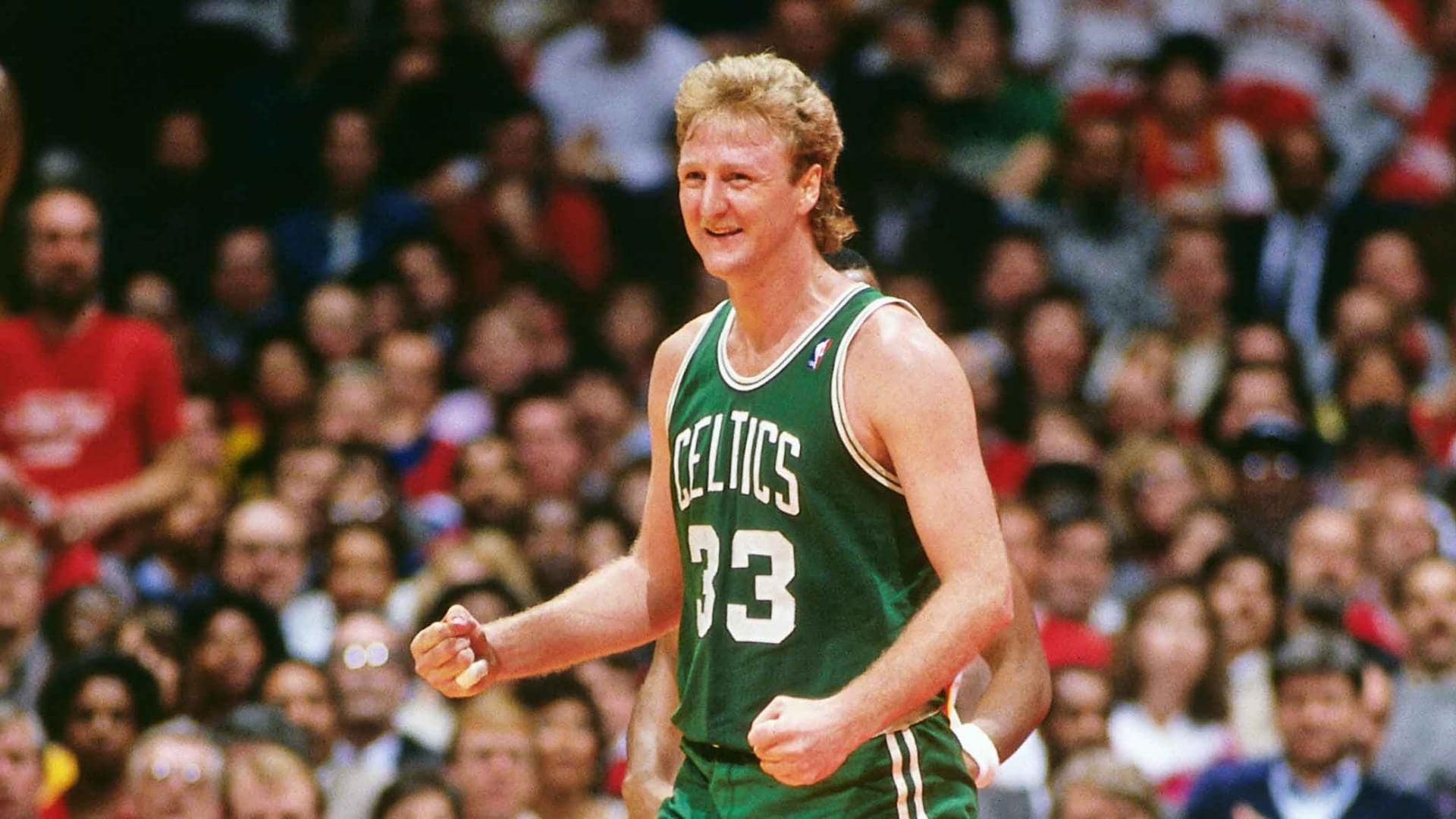 larry bird stats