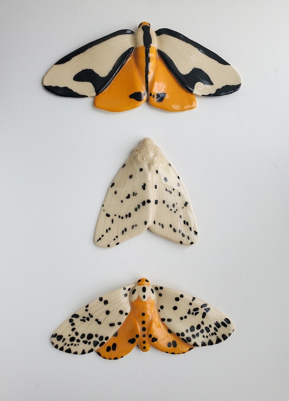 moth decor