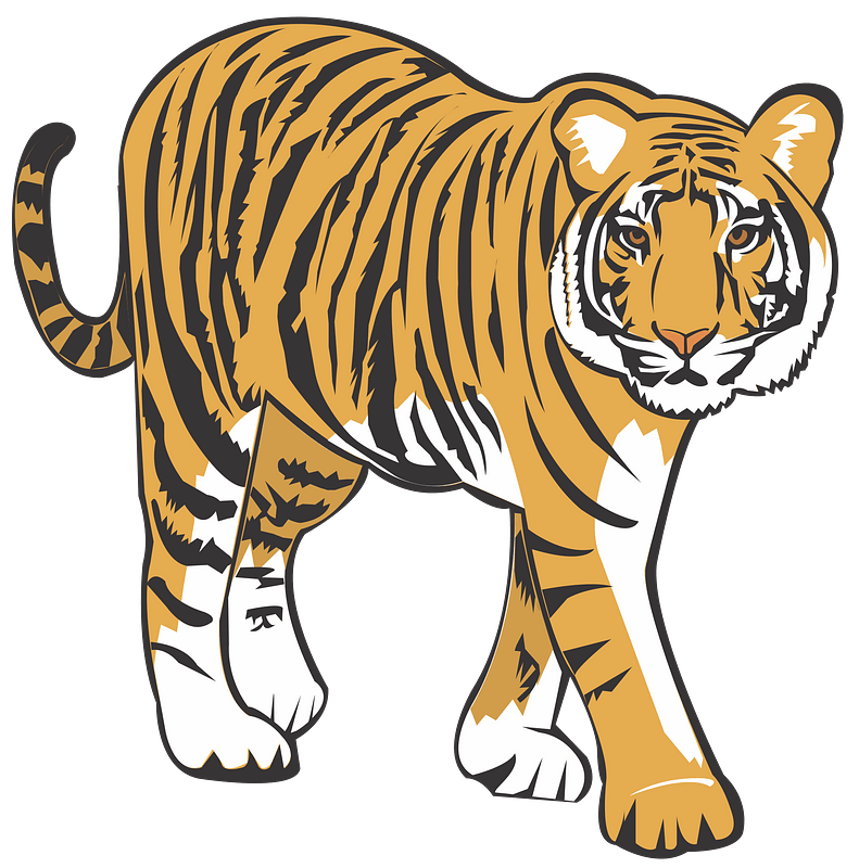 clipart picture of tiger