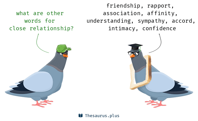 close relationship synonym