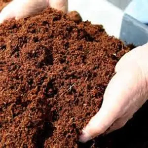 coco peat wholesale price