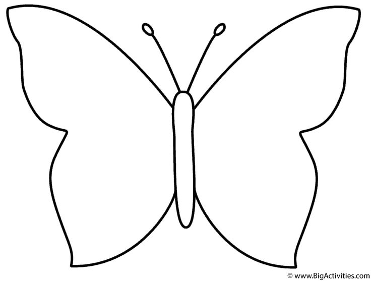 colouring pages butterfly