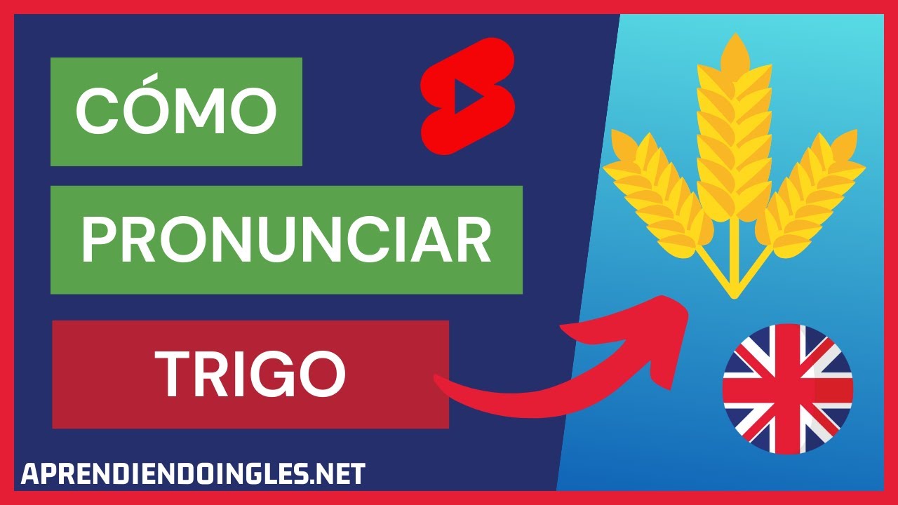 como se dice trigo en inglés