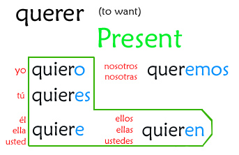 conjugation of the verb querer