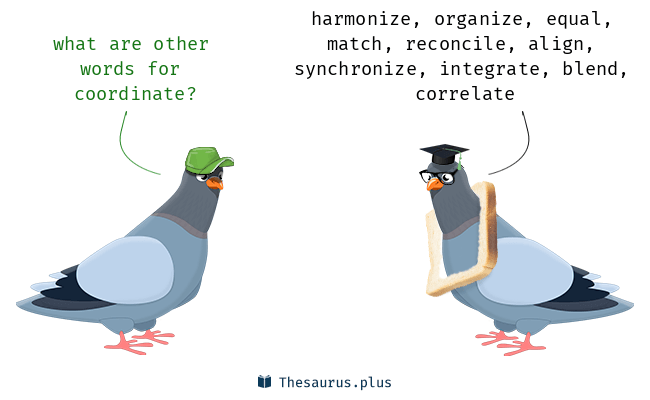 coordinate thesaurus